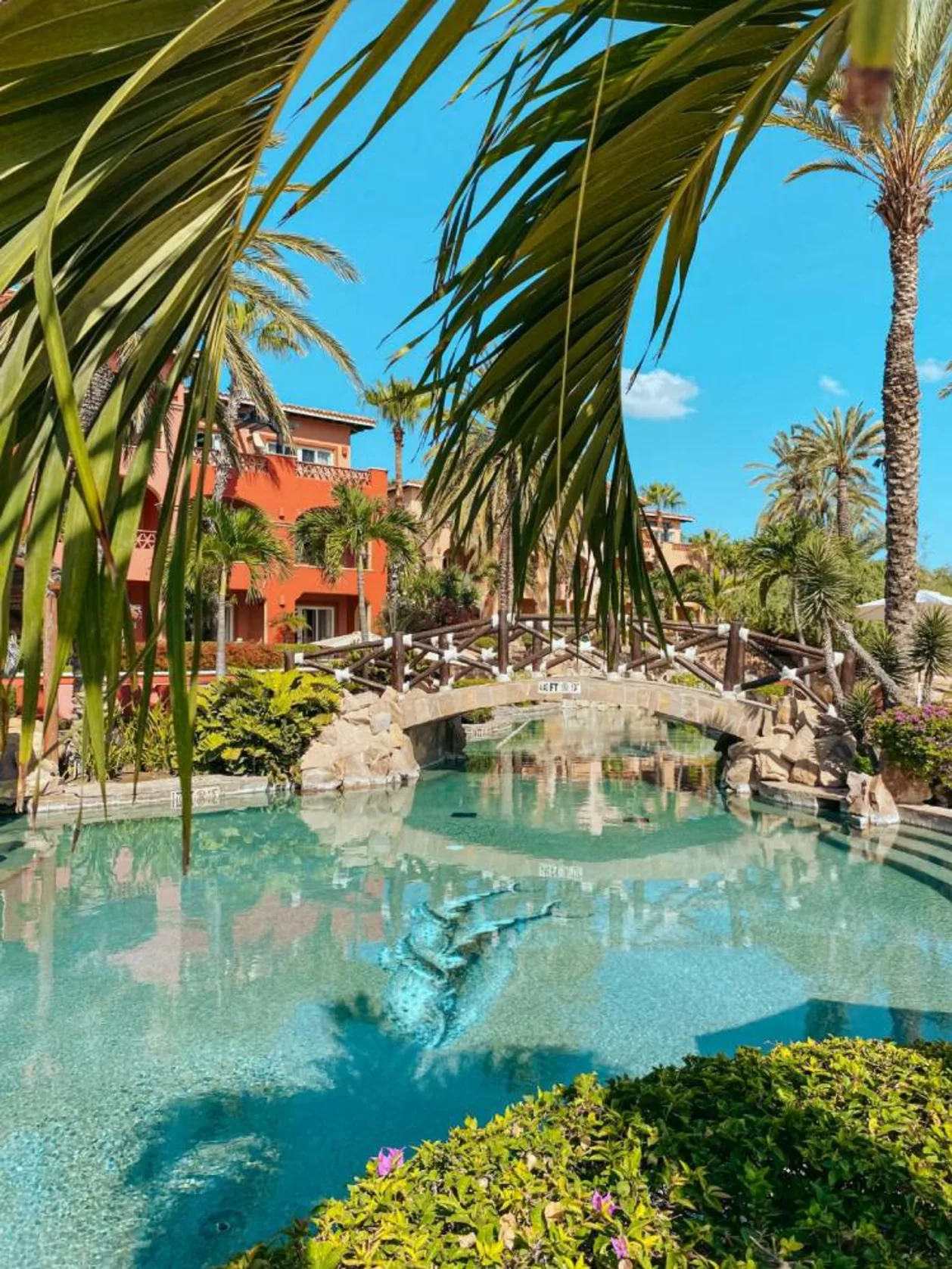 Hacienda del Mar bridge over pool